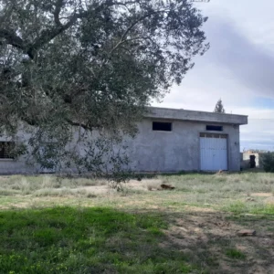 Investissimo - Annonces Immobilières Tunisie 2