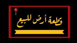 Investissimo - Investissimo Immobilier Kairouan 8