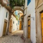 Aménagement cave à vin : transformer une pièce en cave