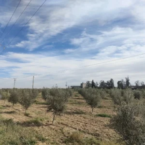 Investissimo - Meilleure Agence Immobilière Tunisie 6