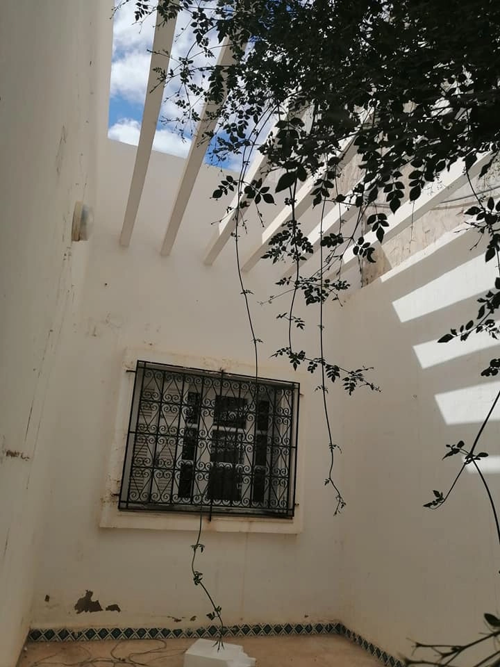 Investissimo - Consultant Immobilier Tunisie 24