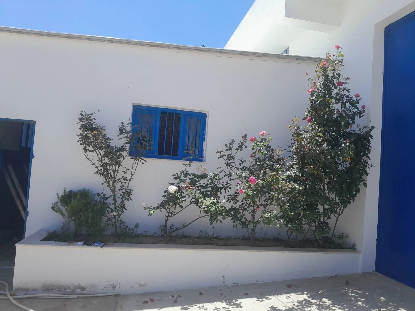Investissimo - Expert Immobilier Tunisie 18
