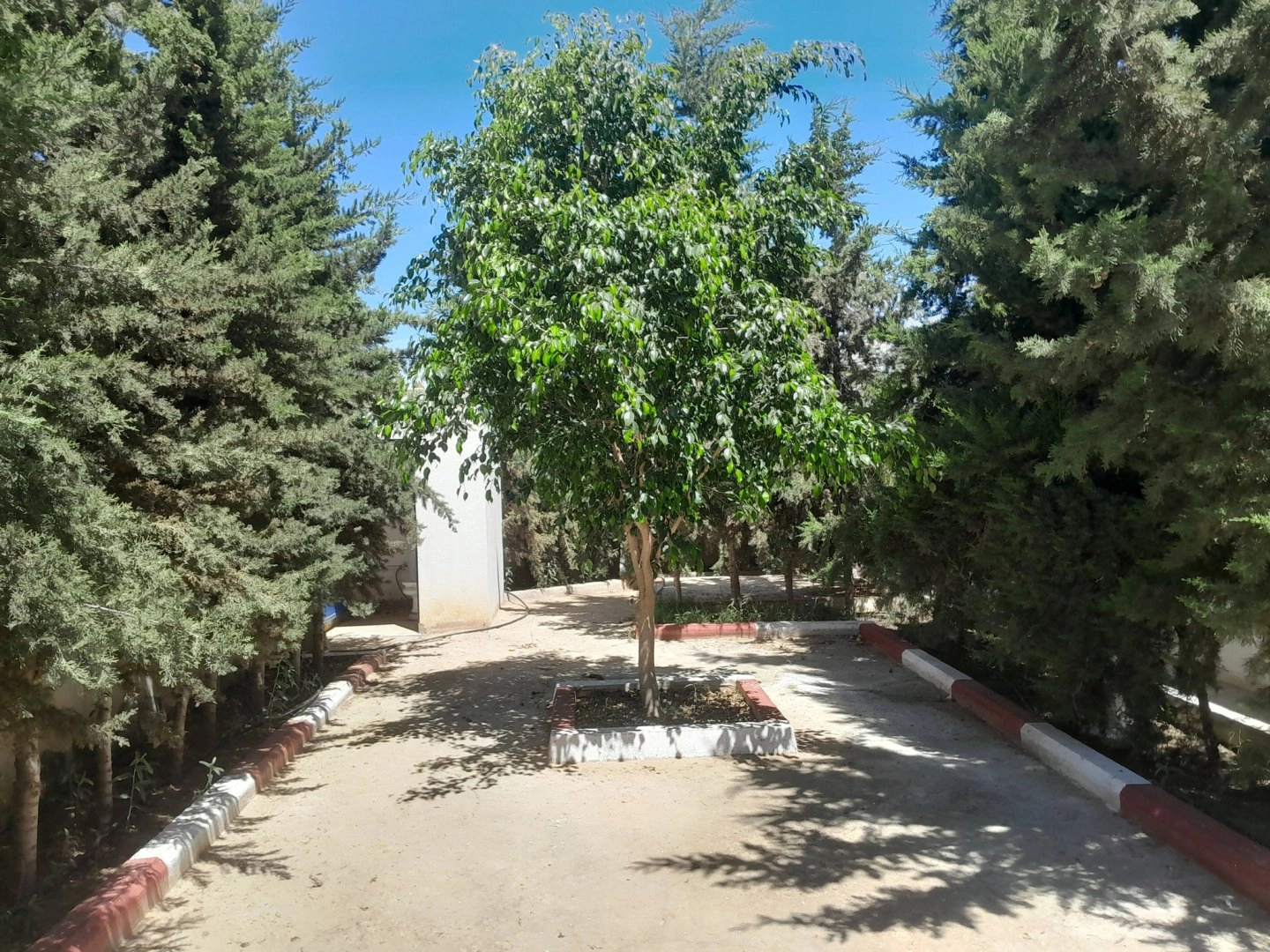 Investissimo - Notaire à Kairouan 20