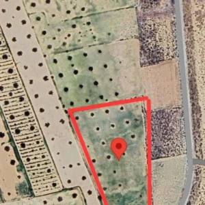 Investissimo - Samsar Kairouan 17