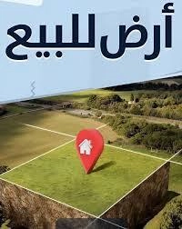 Investissimo - Notaire Tunisie 26